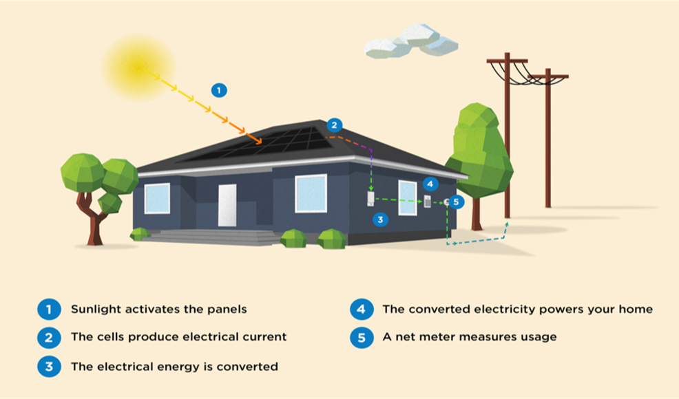 Is Solar Power Right For You? SussexREC